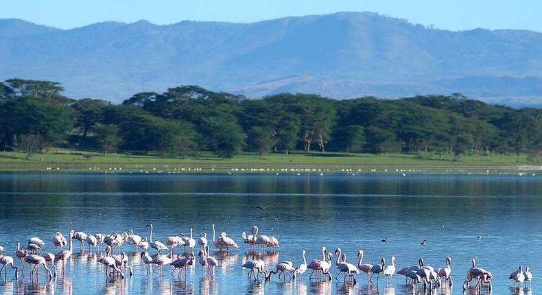 Lake Naivasha