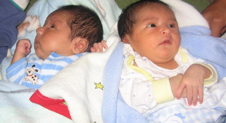 How to conceive twins(hogardeamor)