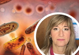 Prim dr Ivana Begović Lazarević o tetanusu