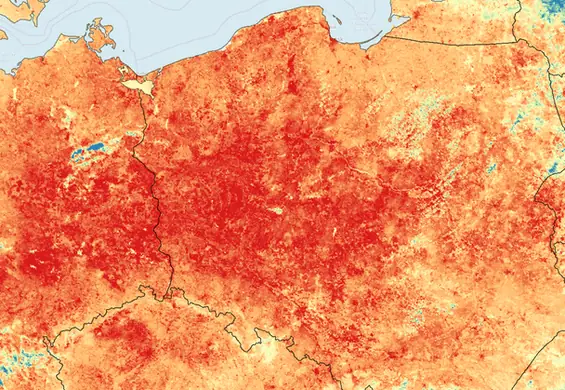 Rekordy temperatur w przyszłości będą normą. Co nas czeka? Pożary, susze, nad Bałtykiem zakwit glonów