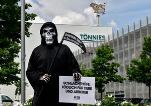 Korona u fabrici mesa Tenis