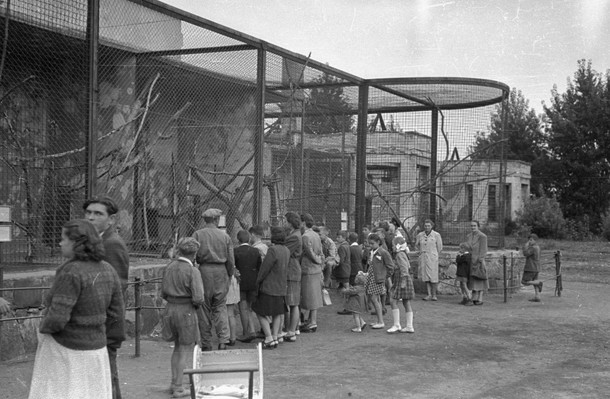 WARSZAWSKIE ZOO 