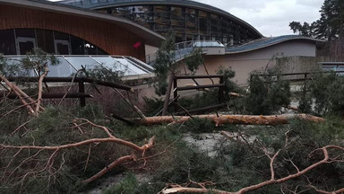 Z powodu wichur zniszczenia w poznańskim zoo. Zamknięto obiekt