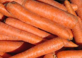 farkasvaksag-280x200-d0000062769e5be621251