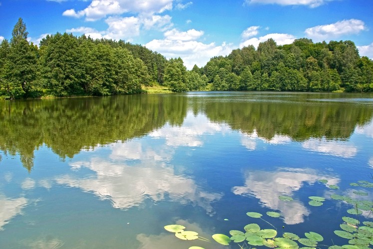 <strong>Jezioro Kluczysko</strong>
<br></br>
Jezioro Kluczysko leży w obrębie Suwalskiego Parku Krajobrazowego. Wchodzi ono w skład tzw. grupy jezior szurpilskich, do której zalicza się ponadto Jegłówek, Jegłóweczek oraz jezioro Szurpiły właśnie. Z tym ostatnim jeziorem związana jest legenda: w jego głębinach mieszkać miał litewski bóg wód Žaltys. Zakochał się on z wzajemnością w Jegli, córce mieszkającego nad brzegiem jeziora bartnika. Przybrawszy postać węża poślubił ją, razem zamieszkali w pałacu na dnie jeziora, doczekali się trójki potomstwa. Małżonek nie zyskał sympatii braci Jegli. Gdy Jegla stęskniona za rodzicami udała się w odwiedziny, bracia wywabili podstępem Žaltisa z wody i zamordowali. Bóg Perunas ukarał ich za to, przemieniając ich w głazy, tkwiące na brzegu jeziora. 
<br></br>