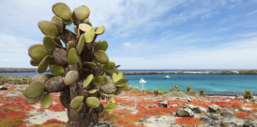 Wyspy Galapagos - słońce świeci tam przez cały rok