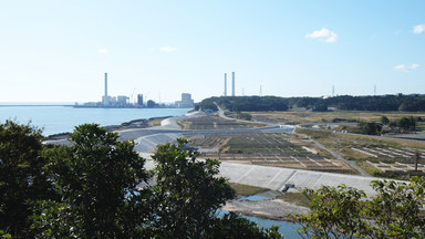 Prawie 10 lat po katastrofie w Fukushimie grzyby wciąż są radioaktywne