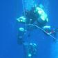 Nuno Gomes morze ocean woda nurkowanie głębinowe