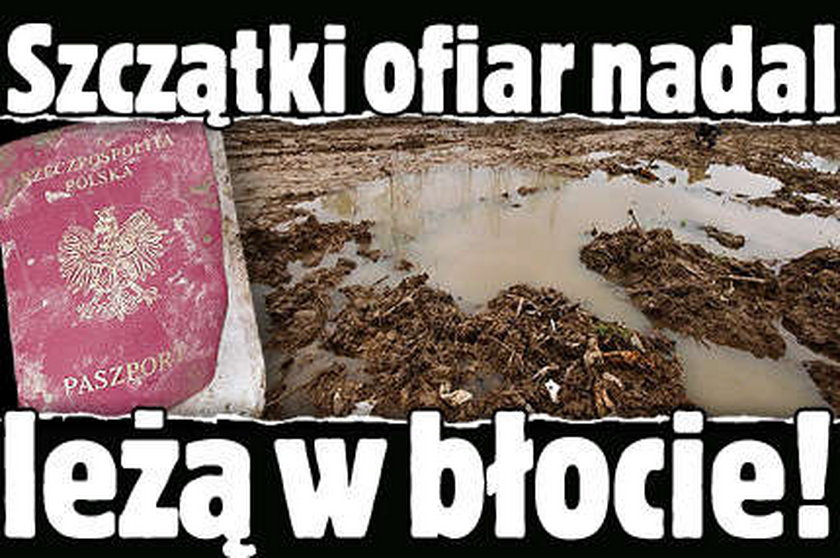 Szczątki ofiar nadal leżą w błocie!