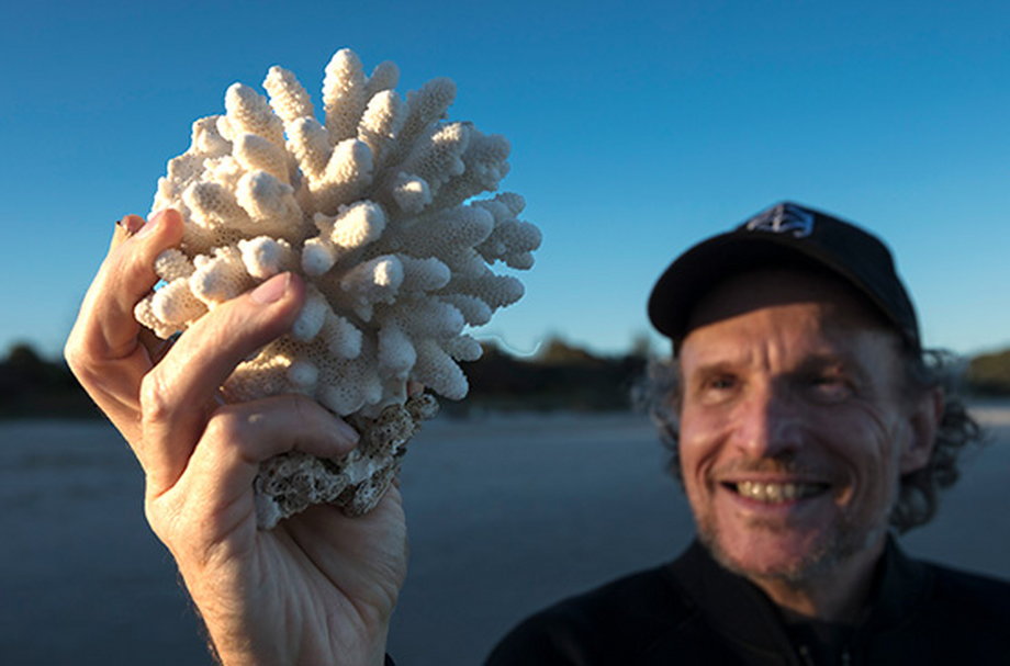 Profesor Peter Harrison odkrył masowy sposób rozmnażania się raf koralowych