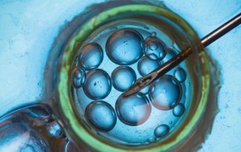 kobita-chce-in-vitro-a-mezczyzna-nie-czy-w-takiej-sytuacji-mozna-zablokowac-przeniesienie-zarodka