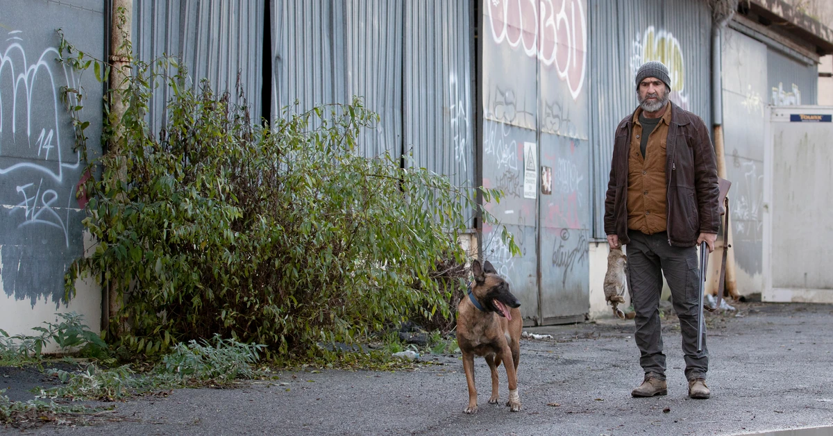 Polacy wreszcie mogli obejrzeć ceniony serial kryminalny. Wielki finał