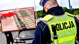 15 mln kierowców musi wymienić prawo jazdy. rząd podał ostateczną datę i nową, wyższą cenę dokumentu