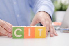 Najwięksi podatnicy w Polsce, którzy nie płacą CIT