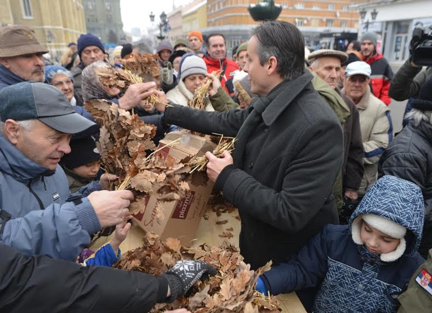 Badnjake dobilo 2.000 Novosađana