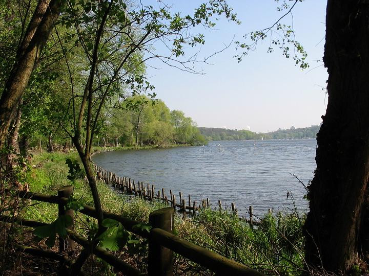 Las Grunewald w Berlinie, rzeka Hawela. Ukochane miejsce spacerów Berlińczyków i miejsce eksperymentu