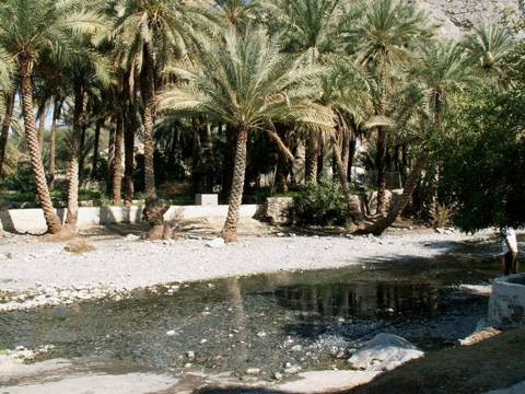 Galeria Oman - pustynne królestwo, obrazek 25