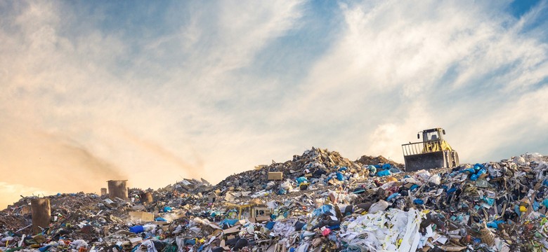 Makabryczne wyniki sekcji. "Żyła jeszcze, gdy śmieciarka zabrała ją wraz z odpadami"
