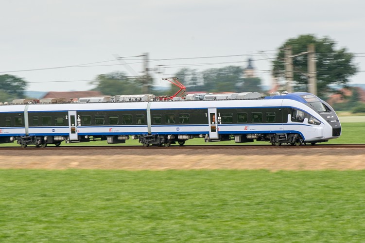 Testy pod Żmigrodem