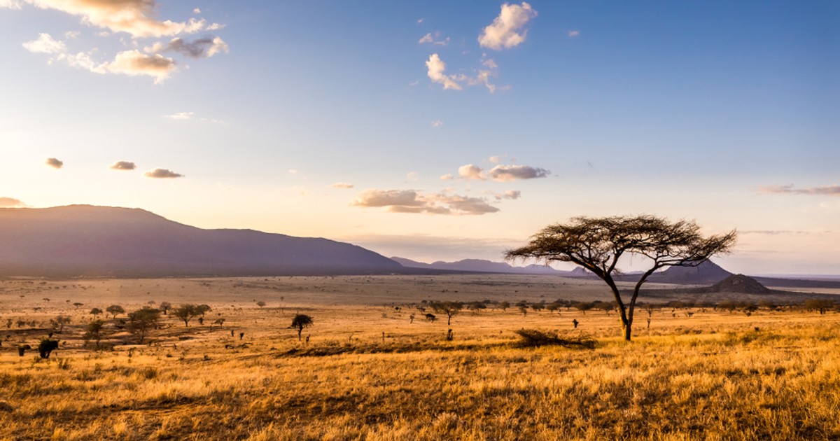 Turystyki zaatakowane maczetami w Kenii. Jedna straciła palec - Podróże