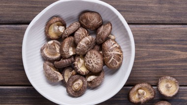 komputery z grzybów? bioelektronika, która może zmienić przyszłość tec