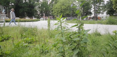 Park Sienkiewicza w Łodzi po remoncie do naprawy. Ile dopłacimy?