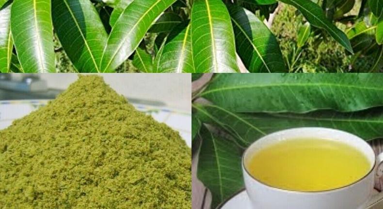 5 surprising home remedies you can make from mango leaves