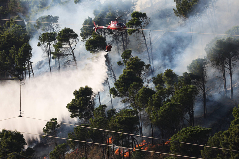 Pożary w rejonie Palermo na Sycylii, 26 lipca 2023 r.