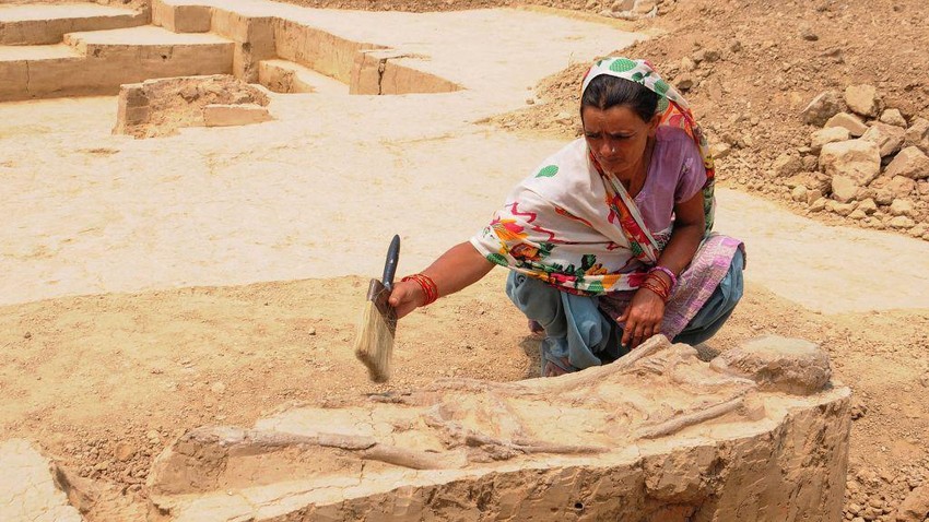 U poređenju sa drugim društvima, na grobnicama civilizacije doline Inda pronađene su niže stope kranijalnih trauma | Foto: AFP via Getty Images