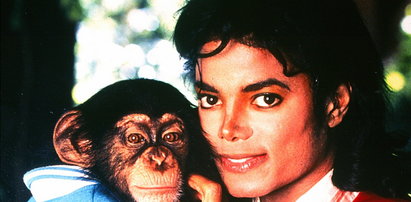 Będzie film o małpie Jacksona