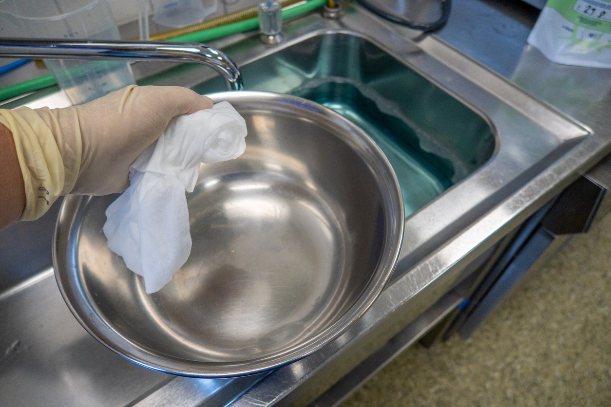 Dezinfekčné obrúsky môžu zvieratám spôsobiť zdravotné problémy. (ilustračné foto)