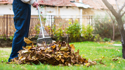 Rozsyp na trawniku w listopadzie. Wiosną sobie podziękujesz