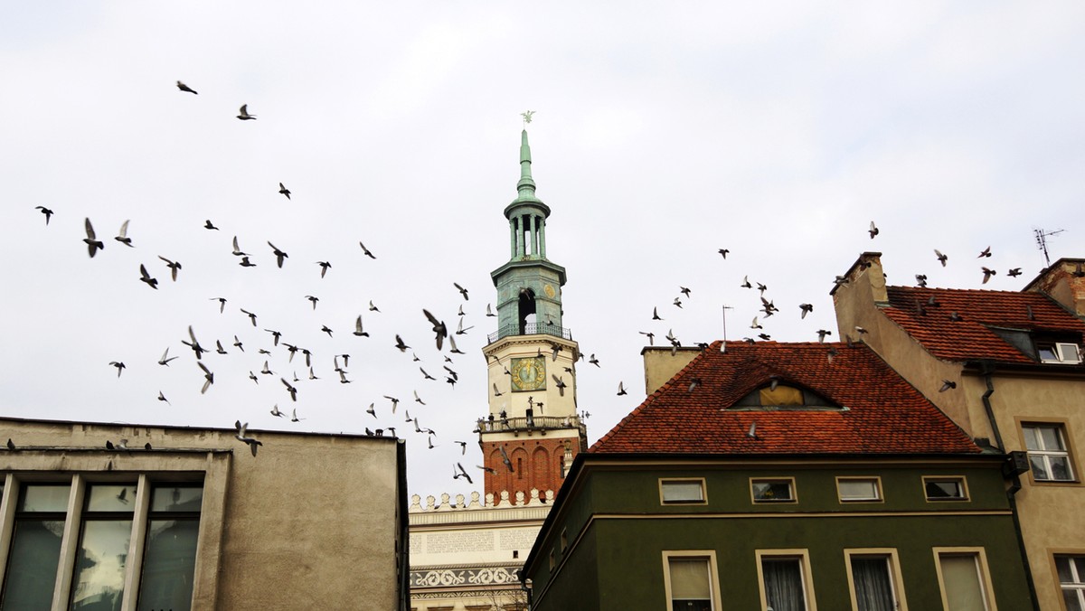 Uroczystym rozświetleniem miejskiej choinki rozpocznie się w sobotę wieczorem "Betlejem Poznańskie" na Starym Rynku. Nowe atrakcje dołączą do tych, które już od dwóch tygodni dostępne są dla mieszkańców miasta i turystów na placu Wolności.