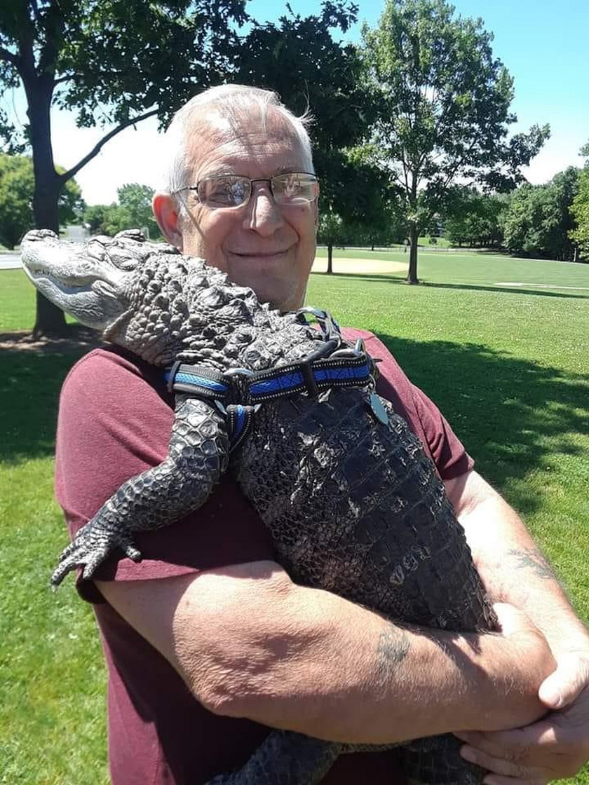 Nubia nie jest jedyna. Oni też trzymają w domu dzikie zwierzęta