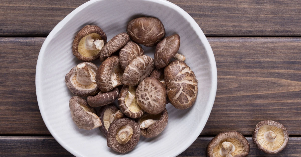 Komputery z grzybów? Bioelektronika, która może zmienić przyszłość technologii