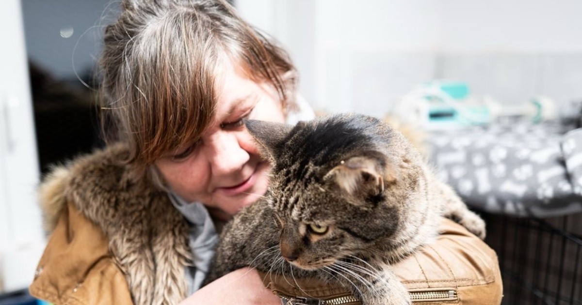 Dramatyczna historia pani Haliny z Wrocławia. Pięć miesięcy koczowała na klatce schodowej