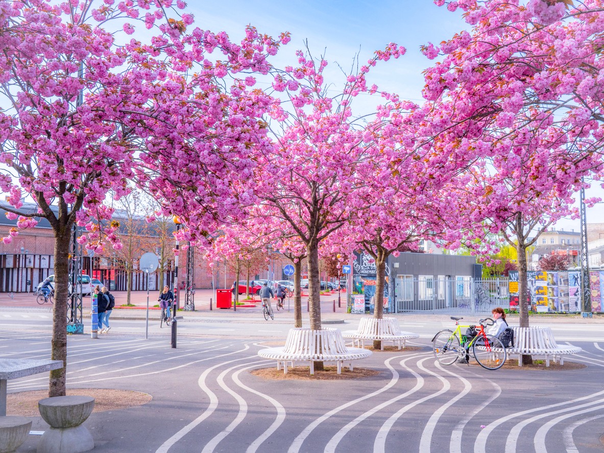 Bicykel sa vám v Kodani rozhodne zíde.
