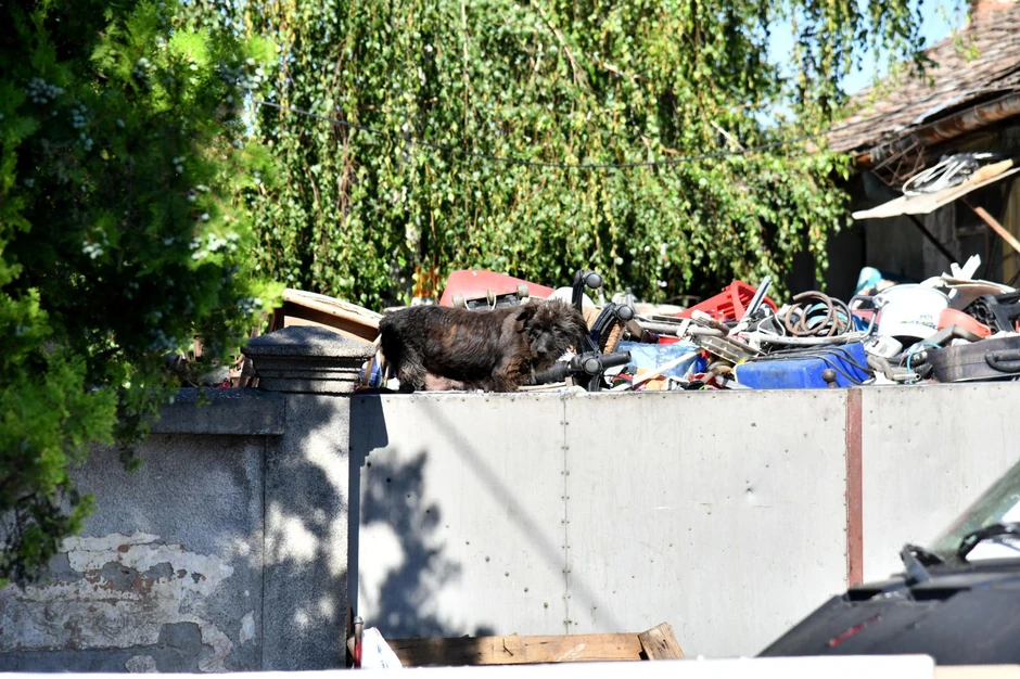 Đubre se preliva preko visoke ograde