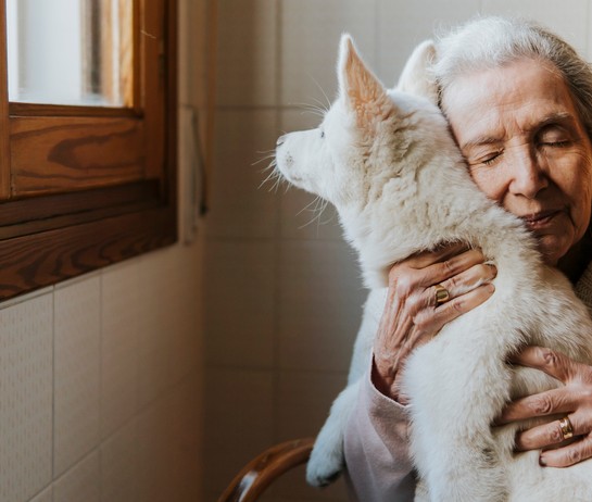 Tier-Spitex – Unterstützung bei der Betreuung von Tieren