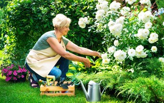 Działki ROD będą likwidowane. A czasu na reakcję jest mało. Oto, co trzeba zrobić
