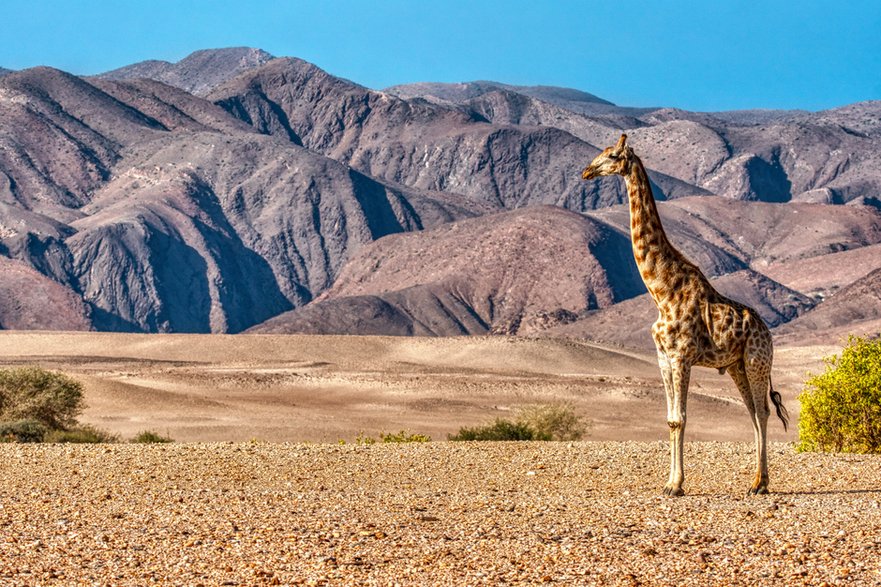 Odlotowa Namibia