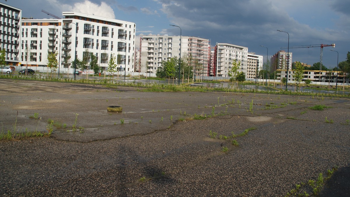 Radny chce, żeby władze miasta wykupiły teren pod park w Czyżynach. Chodzi o teren wzdłuż ulicy Stella-Sawickiego. O tym, że ma on tam powstać zdecydowali mieszkańcy w głosowaniu w ramach budżetu obywatelskiego. Okazało się jednak, że o działki na których ma powstać teren zielony toczy się spór. Urząd pomysłowi radnego mówi: "nie".