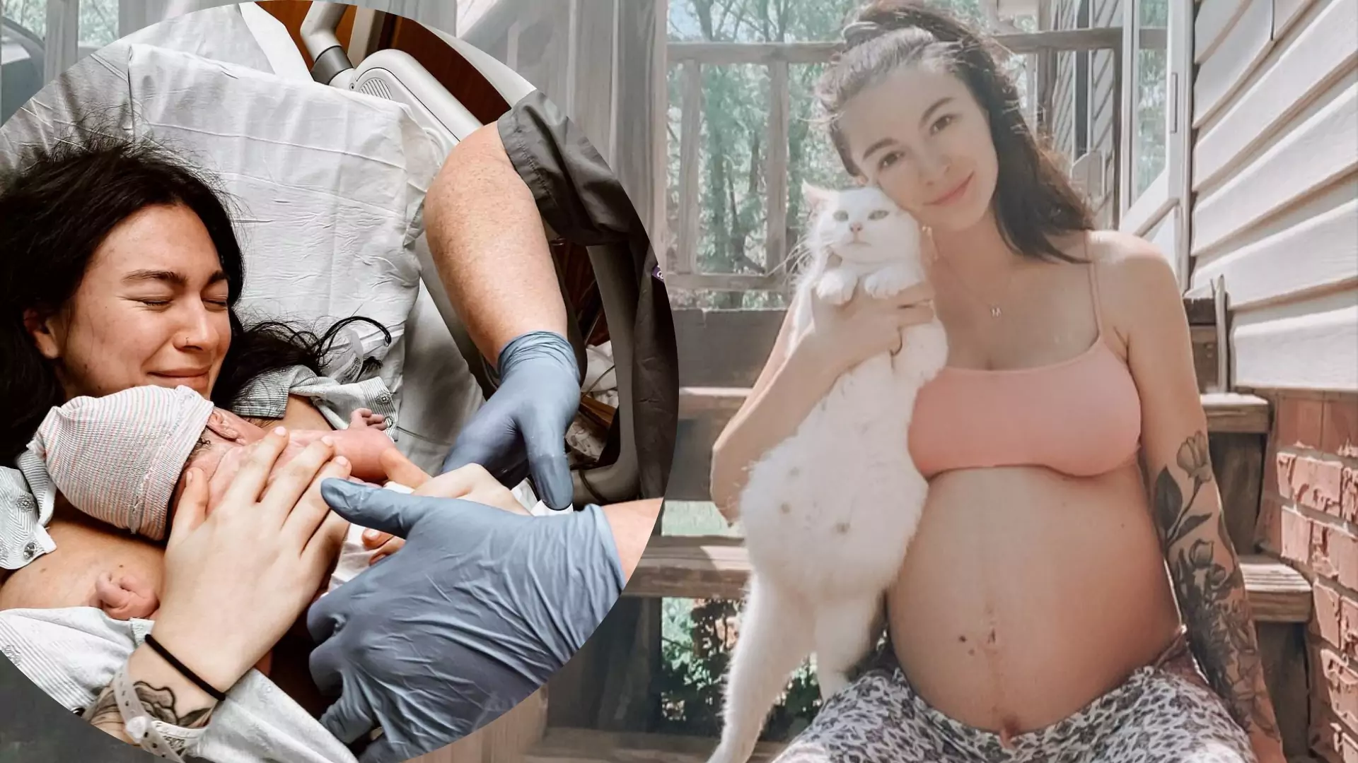 Kobieta w ciąży przygarnęła ciężarną kotkę. Obie zostały mamami w tym samym czasie