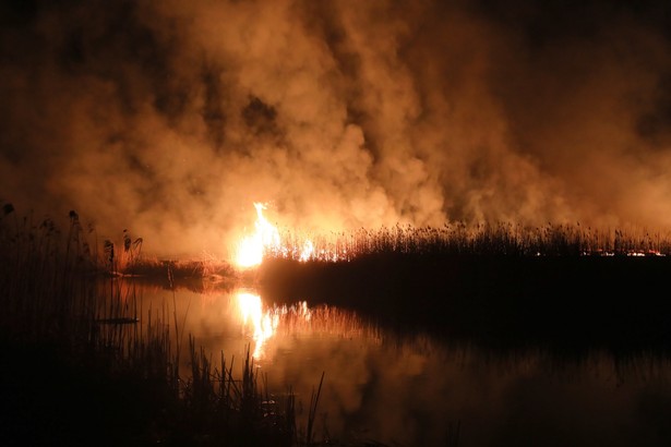 Pożar w Biebrzańskim Parku Narodowym