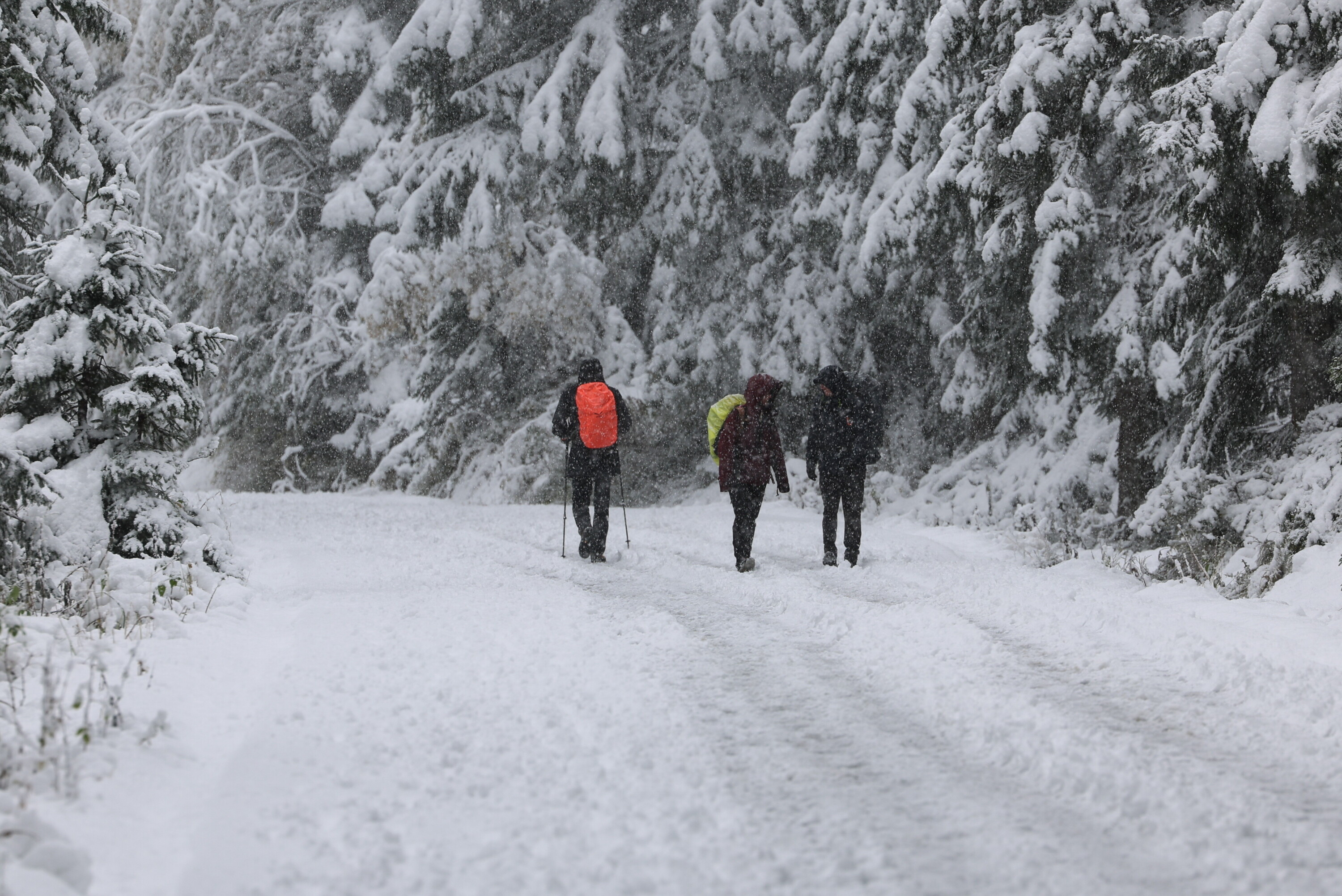 IMGW ostrzega przed ulewami - do 40 mm deszczu w południowej Polsce