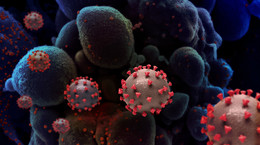 Nowe badania dotyczące koronawirusa SARS-CoV-2. Naukowcy szukają sposobu na jego dezaktywację