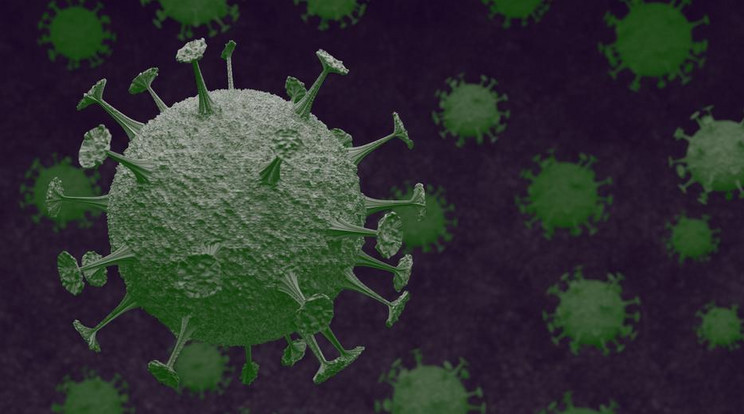 Olaszországba is betört a koronavírus / Fotó: Northfoto
