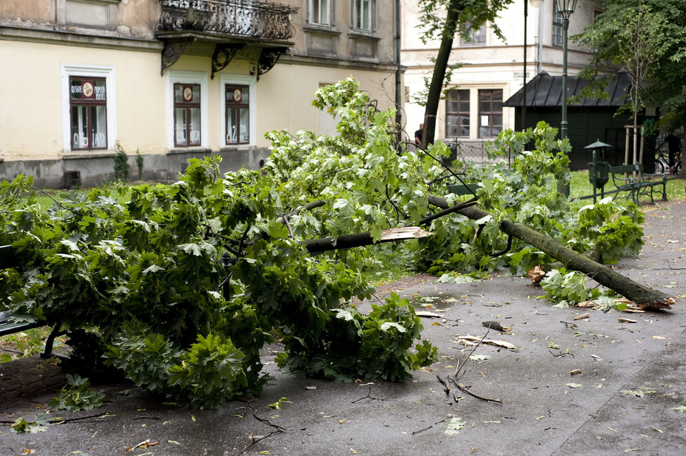 Ulice Krakowa po porannej nawałnicy