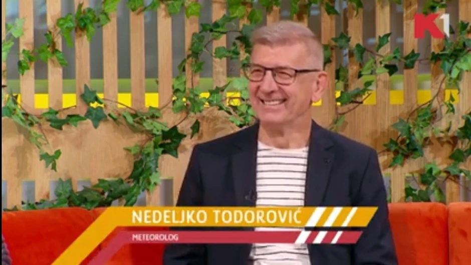 nedeljko todorovi