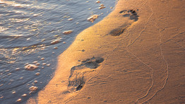 Óriási felfedezés: mintegy 120 ezer éves emberi lábnyomokra bukkantak Szaúd-Arábiában